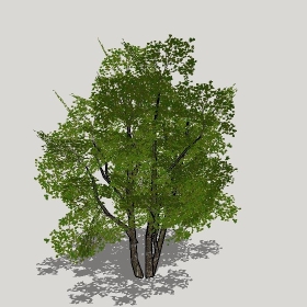 ͼʦģֲģȫ20221282