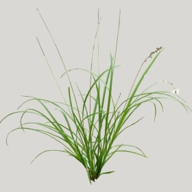 ͼʦģֲģȫ20221551