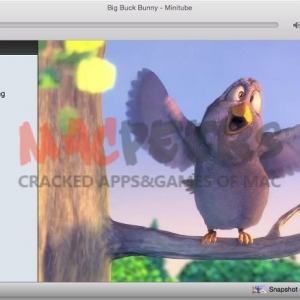 Minitube for mac 2.5.2 Youtube视频播放器