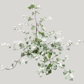 ͼʦģֲģȫ20221832