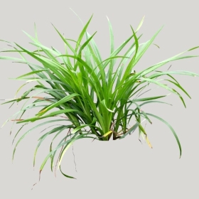 ͼʦģֲģȫ20221493