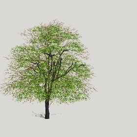 ͼʦģֲģȫ20222346