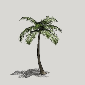 ͼʦģֲģȫ20222332