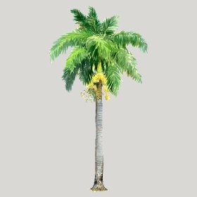 ͼʦģֲģȫ20222638