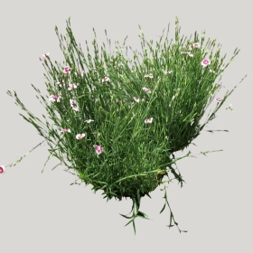 ͼʦģֲģȫ20221051