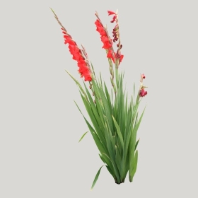 ͼʦģֲģȫ20221504