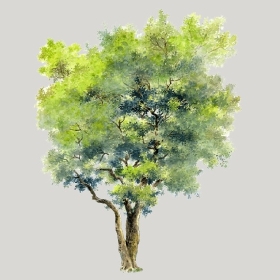 ͼʦģֲģȫ20222598