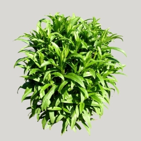 ͼʦģֲģȫ20222016