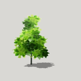 ͼʦģֲģȫ20222425