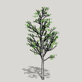 ͼʦģֲģȫ20221190