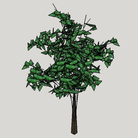 ͼʦģֲģȫ20221047