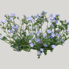 ͼʦģֲģȫ20221723