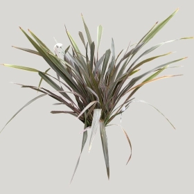 ͼʦģֲģȫ20221987