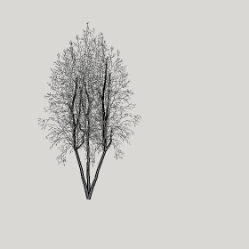 ͼʦģֲģȫ20222431