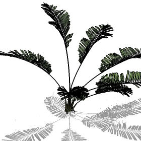 ͼʦģֲģȫ20222336