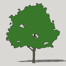 ͼʦģֲTTrees2Dֱģ026