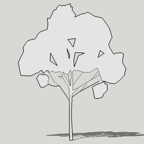 ͼʦģֲTTrees2Dֱģ069