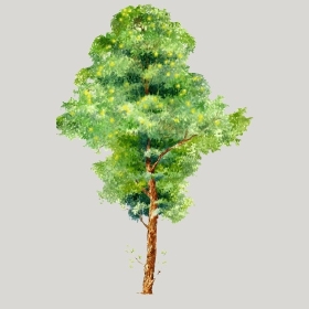 ͼʦģֲģȫ20221143