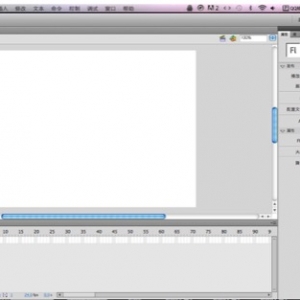 Adobe Flash CS4 绿化版 Mac 二维动画软件制作软件中文版