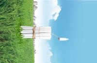 �������ģ��ID-0001