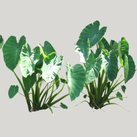 ͼʦģֲģȫ20221121