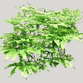 ͼʦģֲģȫ20222009