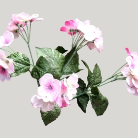 ͼʦģֲģȫ20222179