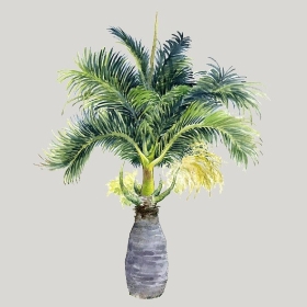 ͼʦģֲģȫ20222563