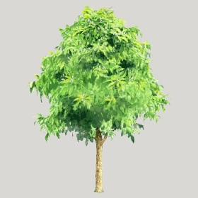 ͼʦģֲģȫ20221924