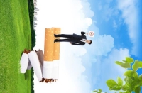 ����PSD�ֲ�ģ��ID-0004