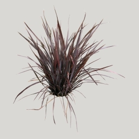 ͼʦģֲģȫ20222159