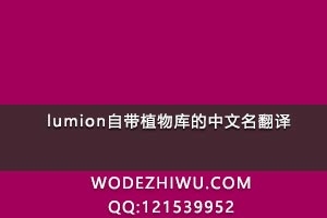 ת  lumionԴֲ룬ˮƽޣο