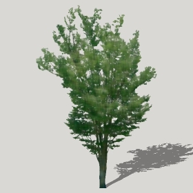 ͼʦģֲģȫ20222405