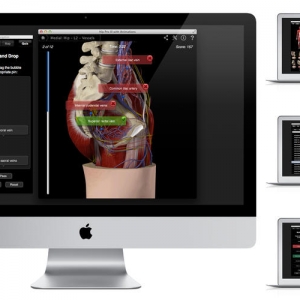 Ankle &amp; Foot Pro III 3.8 – 踝关节和脚 医学软件 最新绿化版
