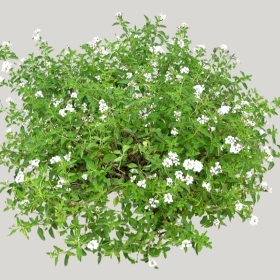 ͼʦģֲģȫ20221799