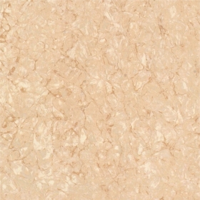 ʯɲ׹שʯʯPG8029C  800X800MM