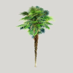 ͼʦģֲģȫ20222360