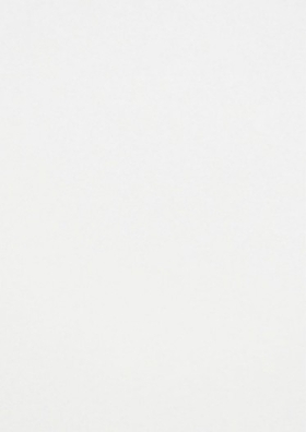 ʯɲǽשǽש 316X450¾48088  316X450MM