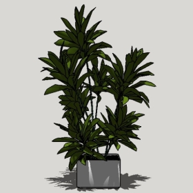 ����ֲ��_Sketchup��ͼ��ʦģ��Enscape����22020426532