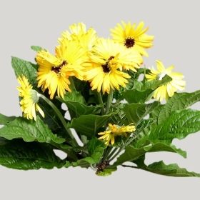 ͼʦģֲģȫ20221476