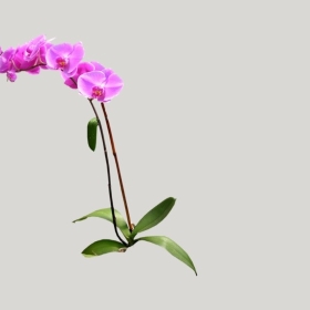 ͼʦģֲģȫ20221951