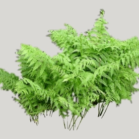 ͼʦģֲģȫ20221881