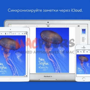 Notability for mac 2.0.1 使笔记和注释容易