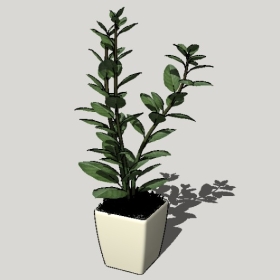 ͼʦSketchupƷģ20221125ϴ089