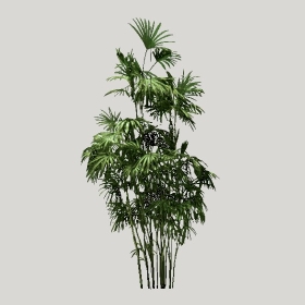 ͼʦģֲģȫ20222185