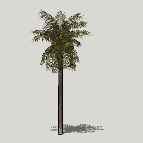 ͼʦģֲģȫ20221257