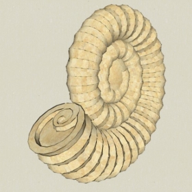 Sketchupģ͵1125ŷʽۺ624