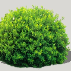 ͼʦģֲTTrees2Dֱģ149