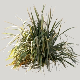 ͼʦģֲģȫ20222002