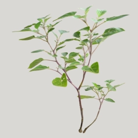 ͼʦģֲģȫ20221046